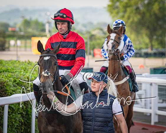 Race 4 - The Jonathan Neesom memorial open Hunter’s steeplechase 3m2f 70y (28 of 167)