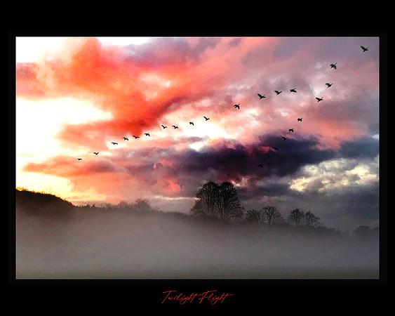 Twilight Flight