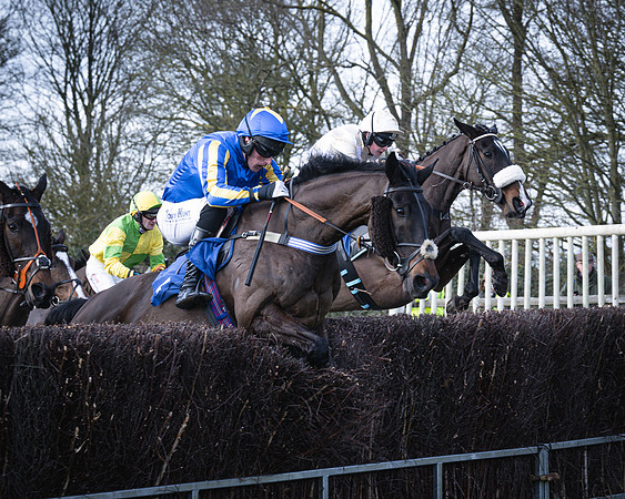 Race 2 - Maiden (73 of 145)