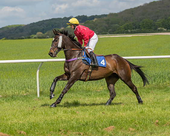 Race 2 - Restricted  (26 of 90)