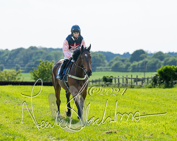 Race 5  - Maiden race 2m5F Div-1 (47 of 197)