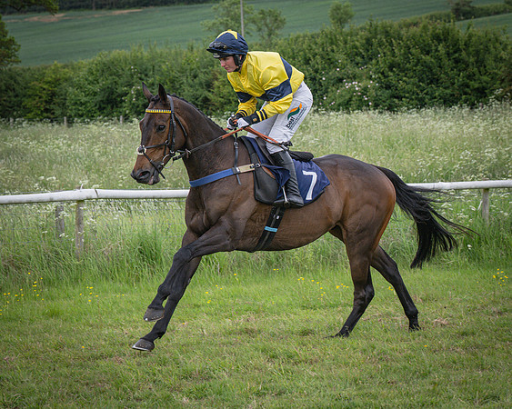 Race 5 - 3 Mile Maiden [NWFAA] (4 of 95)