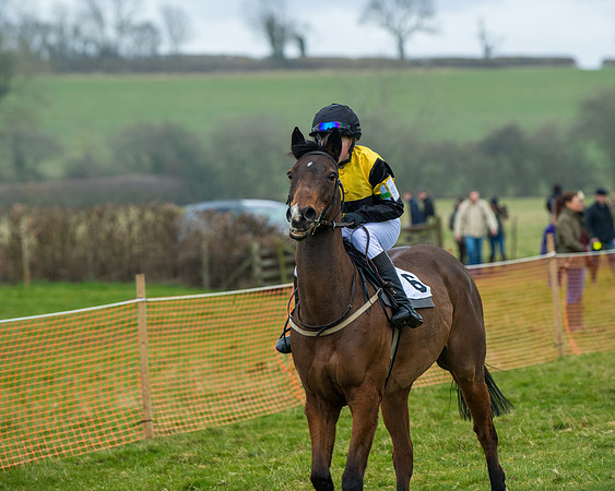 Pony Race 3 (6 of 67)