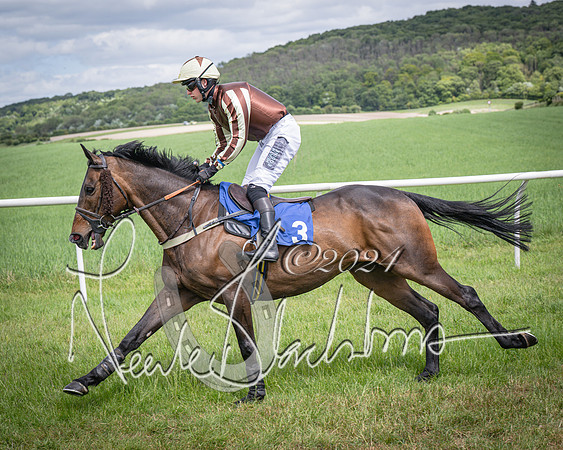 Race 1 - The owner-trainer Conditions race (25 of 118)