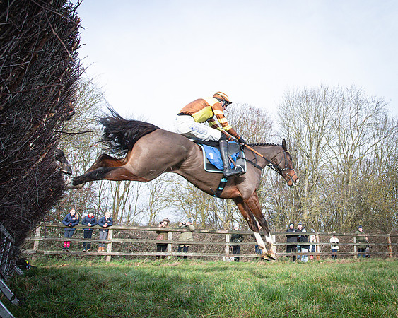 Race 1 - All Is True - Jack Andrews (21 of 38)