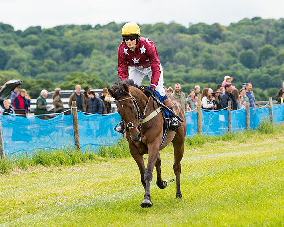 Race 2 - PPORA Novice Riders  (72 of 187)