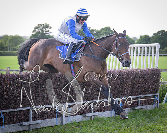 Race 6 - Thorn Plant Hire Maiden Race (88 of 129)