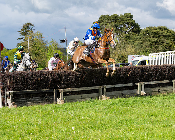 Race 5  - Maiden  (13 of 84)