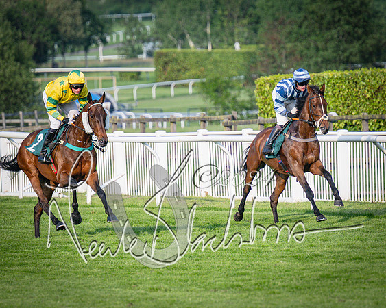 Race 4 - The Jonathan Neesom memorial open Hunter’s steeplechase 3m2f 70y (37 of 167)