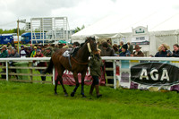 Race 5 - Restriced 13