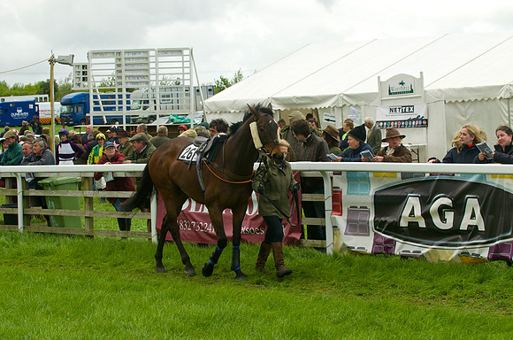 Race 5 - Restriced 13