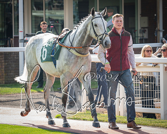 Race 1 - The Bottle Green Open Hunters steeplechase 2m62y (5 of 93)