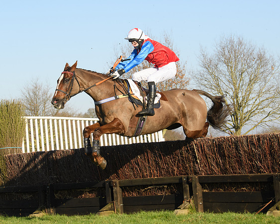 Race 2 - PPORA Novice Riders  (149 of 205)