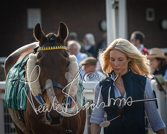 Race 2 - The Venatour sports travel intermediate point to point hunters’ steeplechase 5 year olds and over 3m2f (14 of 163)
