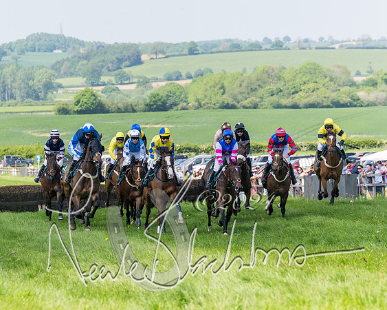 Race 2 - The Maiden  (146 of 442)