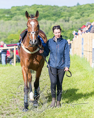 Race 6 - The Maiden  (13 of 448)
