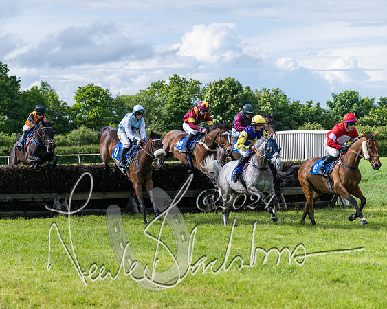 Race 5 - Restricted Race (202 of 434)