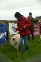 2 - Dog Show 4