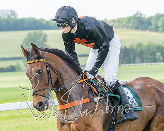 Race 4 - PPORA Novice Riders Final  (118 of 362)