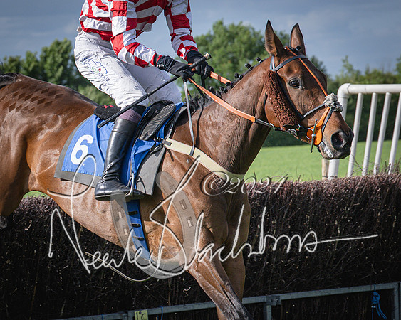 Race 6 - Thorn Plant Hire Maiden Race (59 of 129)