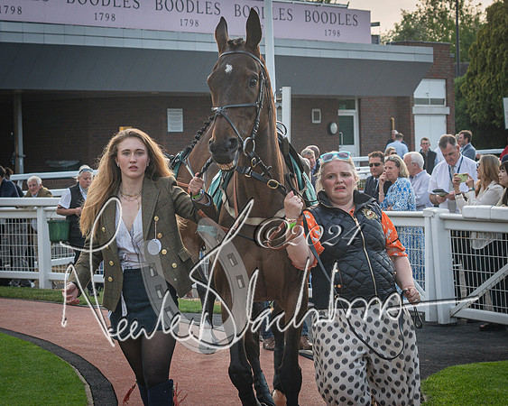 Race 5 - Mares Open Hunter Steeplechase 3m2f 70y (12 of 269)