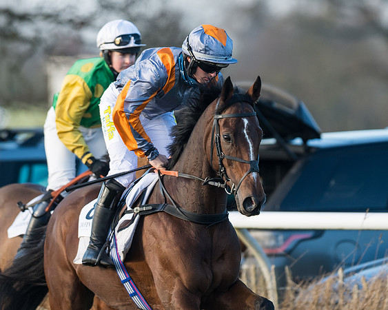 Race 2 - PPORA Novice Riders  (44 of 205)