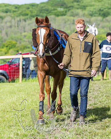 Race 6 - The Maiden  (23 of 448)