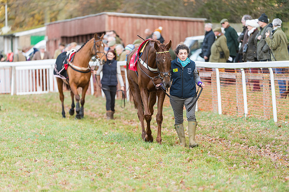 Race 3 - Skinners Ladies Open (7 of 78)