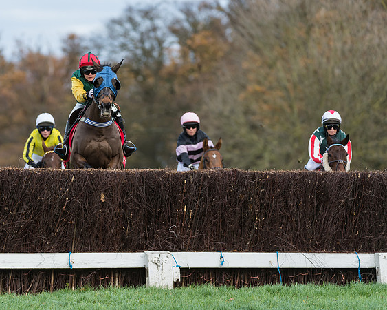 Race 3 - Skinners Ladies Open (15 of 78)