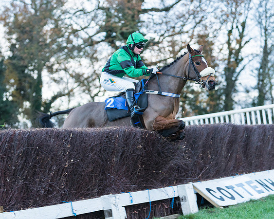 Hot to Trot - Gina Andrews