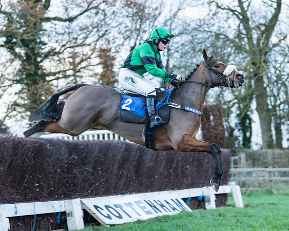 Hot to Trot - Gina Andrews