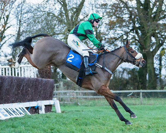 Hot to Trot - Gina Andrews