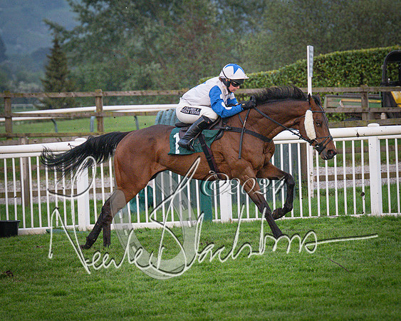 Race - 7 The Royal Gloucester Hussars Open Hunter's steeplechase 2m4f 127y (128 of 210)