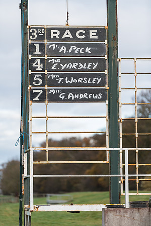 Race 3 - Skinners Ladies Open (1 of 78)