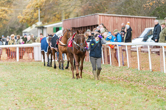 Race 3 - Skinners Ladies Open (6 of 78)