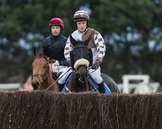 Race 5 - Open Maiden (10 of 39)