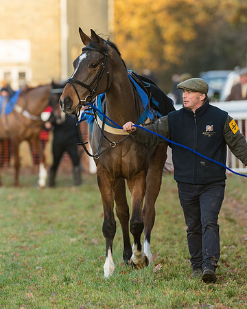 Race 6 - Young Horse Maiden (9 of 36)