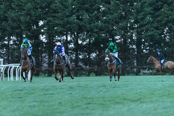 Race 6 - Young Horse Maiden (27 of 36)