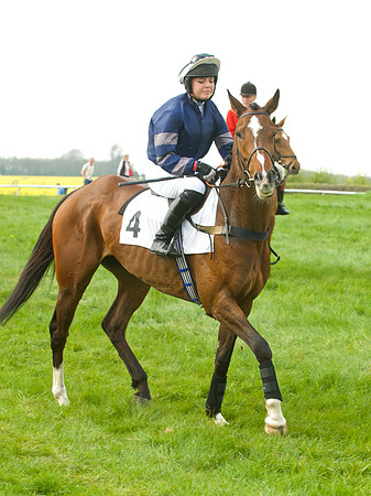 Old Berks at Lockinge Members Race