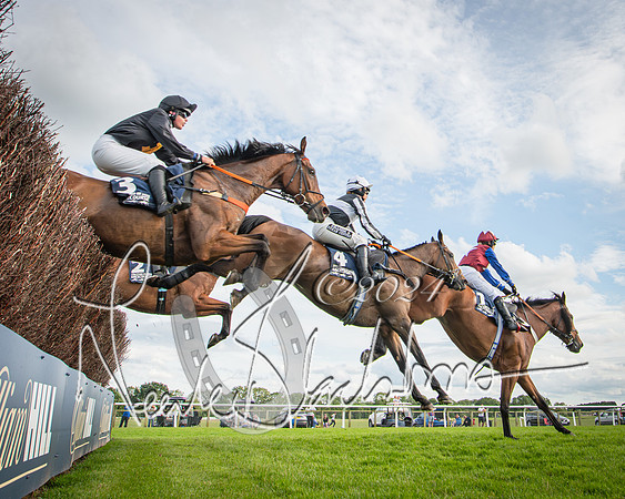 Race 2 - Olly Murphy Racing Stratford Ladies Open (70 of 111)
