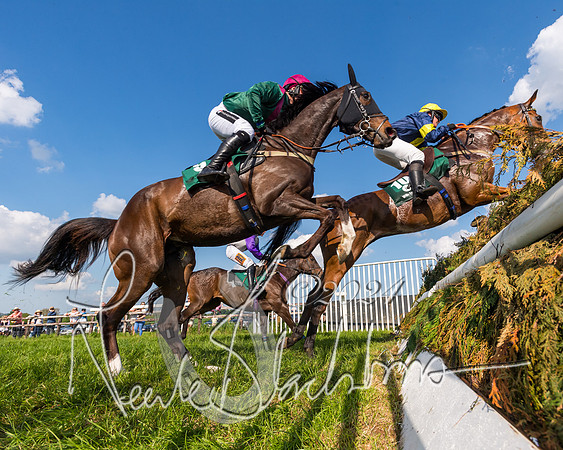 Race 6 - Owner trainer conditions (96 of 272)