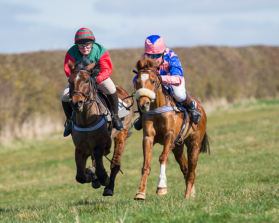 Oakley Ponies (49 of 96).jpg