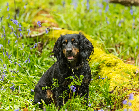 Anne BnB  (100 of 227)