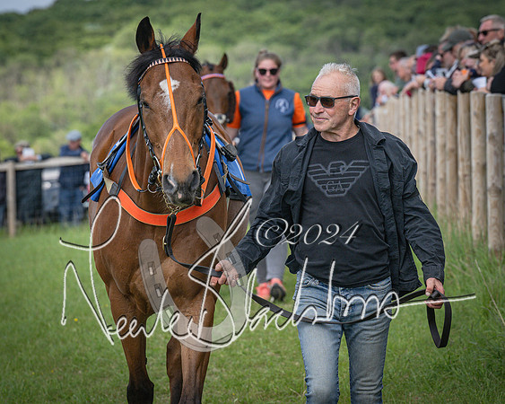 Race 4 - The Dickie Lim Mixed Open Race (9 of 101)