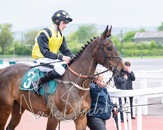 Race 5 - Mares Open  (23 of 129)