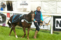 Pony Race - 1   6