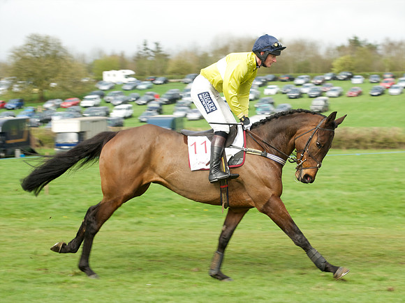 Race 5 - Restricted  11