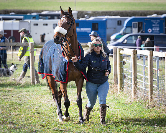 Race 1 - Four and Five year Old Maiden (29 of 137)