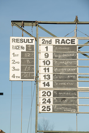 Race 2 - The Young Horse Maiden (1 of 76)