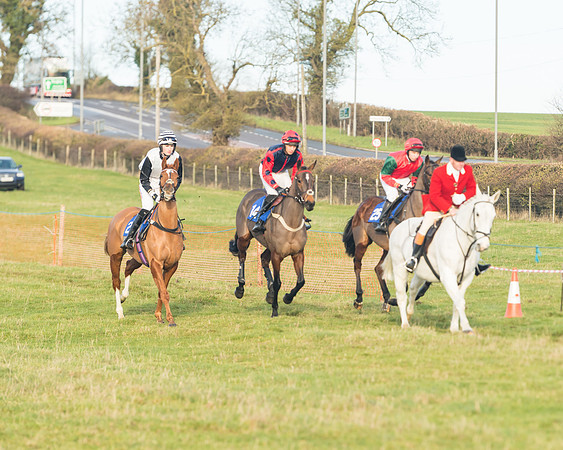 Race 2 - The Young Horse Maiden (2 of 76)